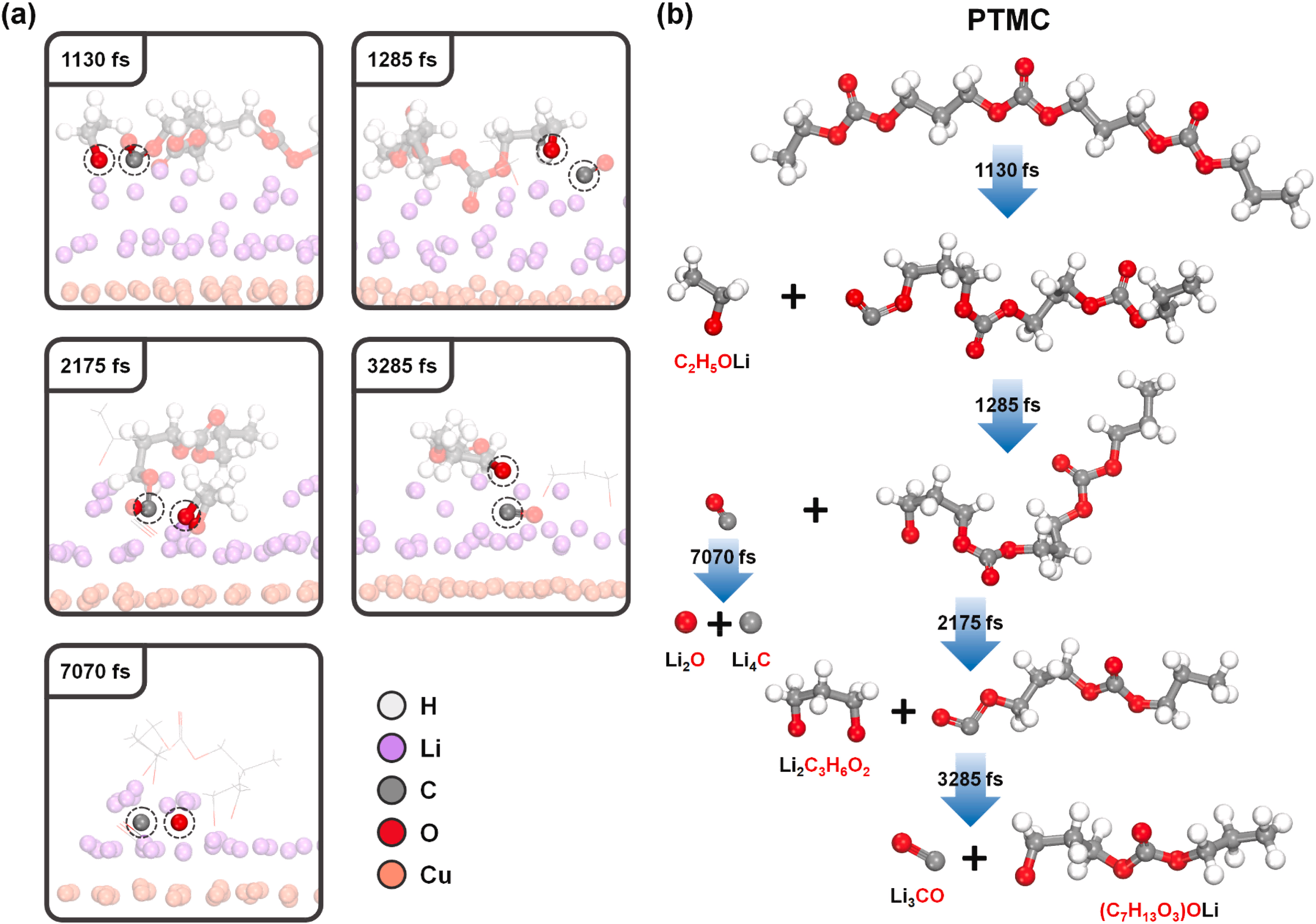 反应路径（热分解）